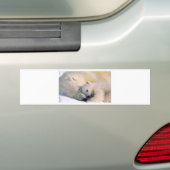 Polar Beer Hugs Bumpersticker (Op auto)