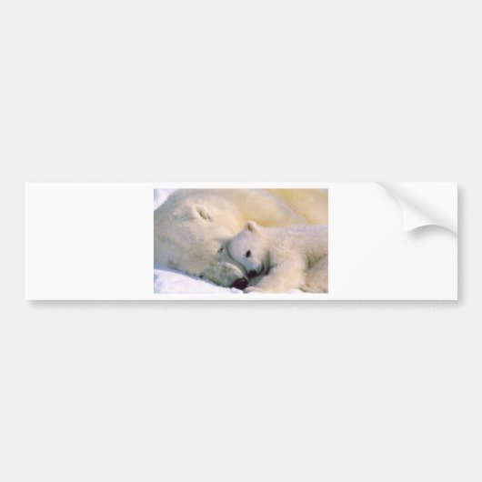 Polar Beer Hugs Bumpersticker (Voorkant)