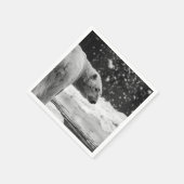 Polar Beer in de sneeuw Servet (Hoek)