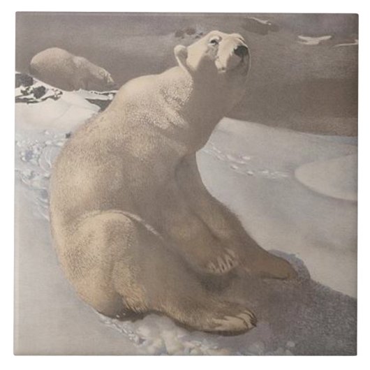 Polar beer in sneeuw  illustratie grijs wit tegeltje (Voorkant)