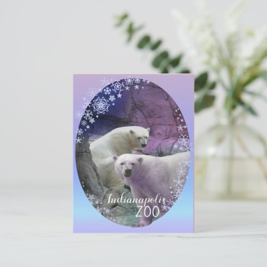 Polar Beer Indy Zoo Briefkaart (Staand voorkant)