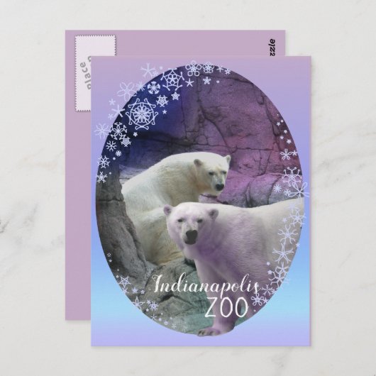 Polar Beer Indy Zoo Briefkaart (Voorkant / Achterkant)