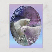 Polar Beer Indy Zoo Briefkaart (Voorkant)