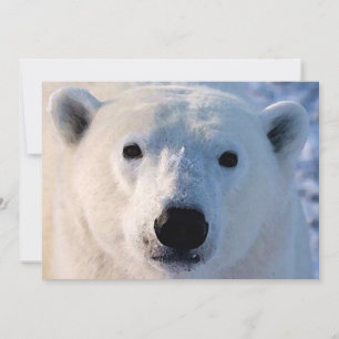 Polar Beer invitatie Kaart