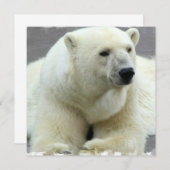 Polar Beer Invitation Kaart (Voorkant / Achterkant)