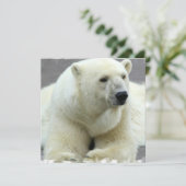 Polar Beer Invitation Kaart (Staand voorkant)