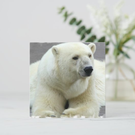 Polar Beer Invitation Kaart (Staand voorkant)