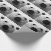 Polar Beer kerstcadeaupapier Cadeaupapier (Hoek)