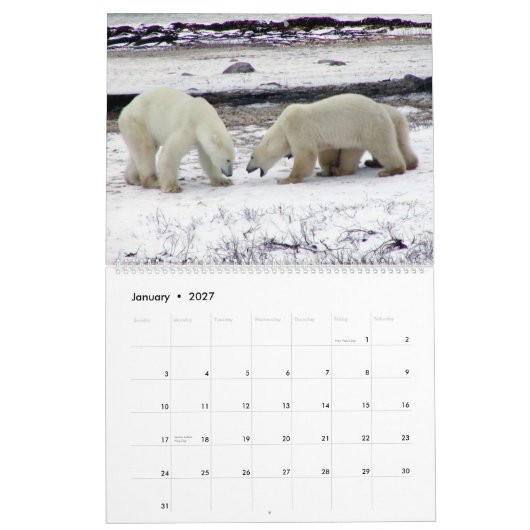POLAR BEER King of the Arctic Calendar 2014 2-Pg. Kalender (Jan 2027)