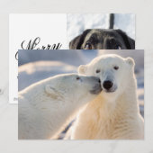 Polar Beer kus Feestdagenkaart (Voorkant / Achterkant)