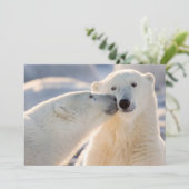 Polar Beer kus Feestdagenkaart (Staand voorkant)