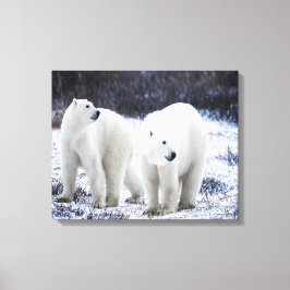 Polar Beer Love Canvas Afdruk