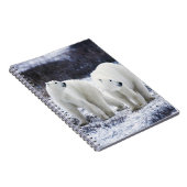 Polar Beer Love Notitieboek (Rechterzijde)