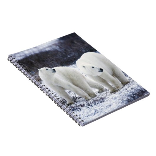 Polar Beer Love Notitieboek (Rechterzijde)