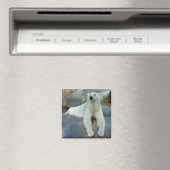 Polar Beer magnet (Insitu (Vaatwasser))