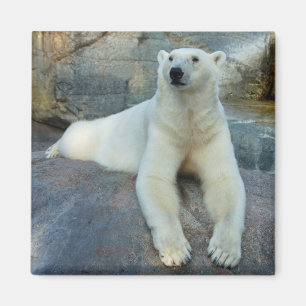 Polar Beer magnet
