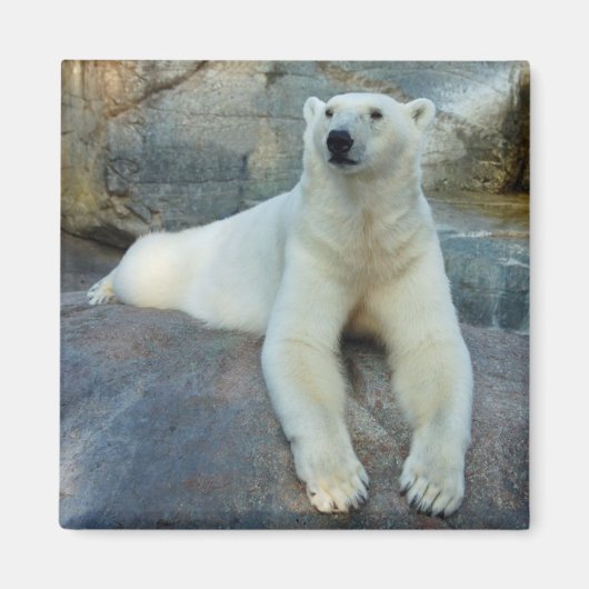 Polar Beer magnet (Voorkant)