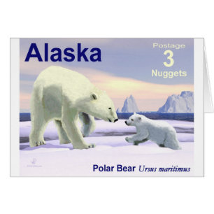 Polar Beer - Mama Nose Best