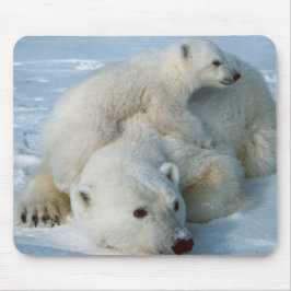 Polar_beer_met_welp Muismat