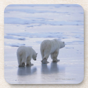 Polar Beer Moeder en Cub Drankjes Onderzetter