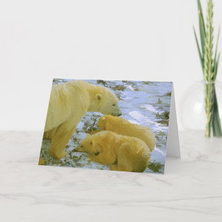 Polar Beer moeder en haar welpen briefpapier blanc Bedankkaart