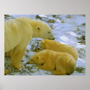 Polar Beer moeder en haar welpen papier print