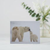 Polar Beer Moeder met Cub Briefkaart (Staand voorkant)