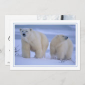 Polar Beer Moeder met Cub in Snow Feestdagenkaart (Voorkant / Achterkant)