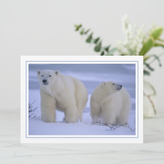 Polar Beer Moeder met Cub in Snow Feestdagenkaart (Staand voorkant)