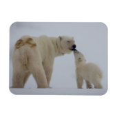 Polar Beer Moeder met Cub Magneet (Horizontaal)