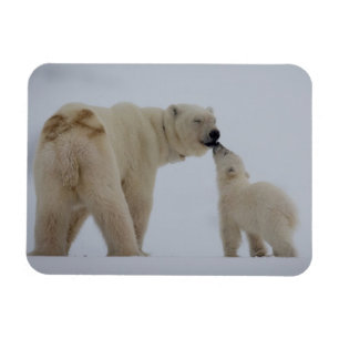 Polar Beer Moeder met Cub Magneet