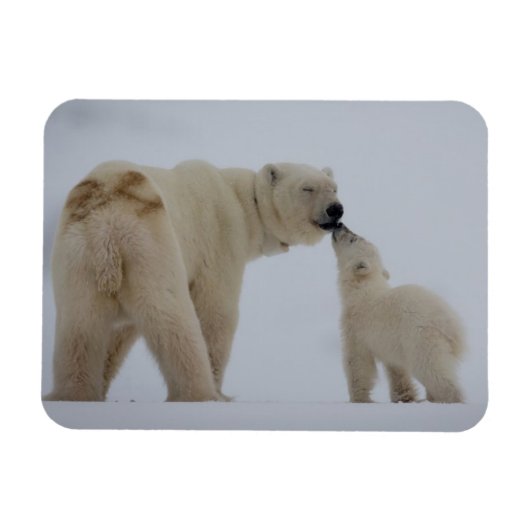 Polar Beer Moeder met Cub Magneet (Horizontaal)
