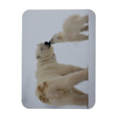 Polar Beer Moeder met Cub Magneet (Verticaal)