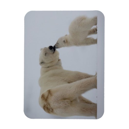 Polar Beer Moeder met Cub Magneet (Verticaal)