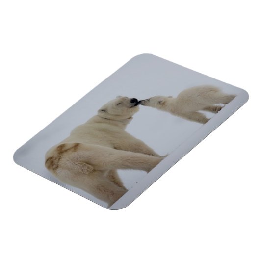 Polar Beer Moeder met Cub Magneet (Linkerzijde)