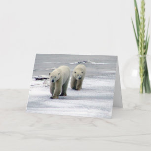 Polar Beer Mom & Cub Kaart
