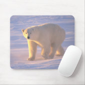 Polar Beer Morn 2 Mousepad Muismat (Met muis)