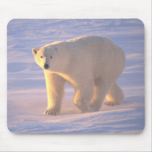 Polar Beer Morn 2 Mousepad Muismat