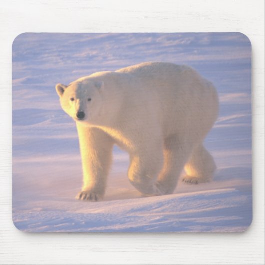 Polar Beer Morn 2 Mousepad Muismat (Voorkant)