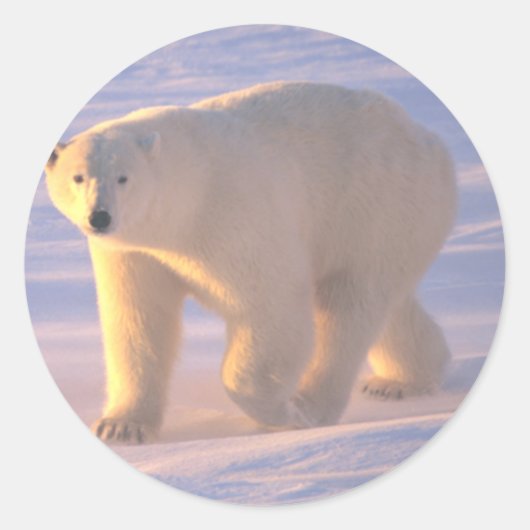Polar Beer Morn 2 Ronde Sticker (Voorkant)