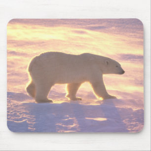 Polar Beer Morn 3 Mousepad Muismat