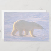 Polar Beer Morn Briefpapier (Voorkant / Achterkant)