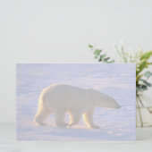 Polar Beer Morn Briefpapier (Staand voorkant)