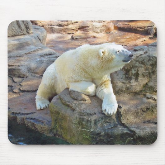 Polar Beer Mousepad Muismat (Voorkant)