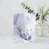Polar Beer Nap Briefkaart (Staand voorkant)