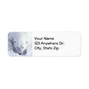 Polar Beer Nap Etiket