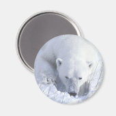 Polar Beer Nap Magneet (Voorkant / Achterkant)