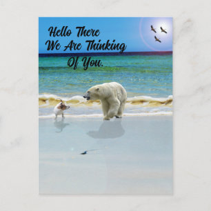 Polar Beer ontmoet Jack Russell, Hallo Briefkaart