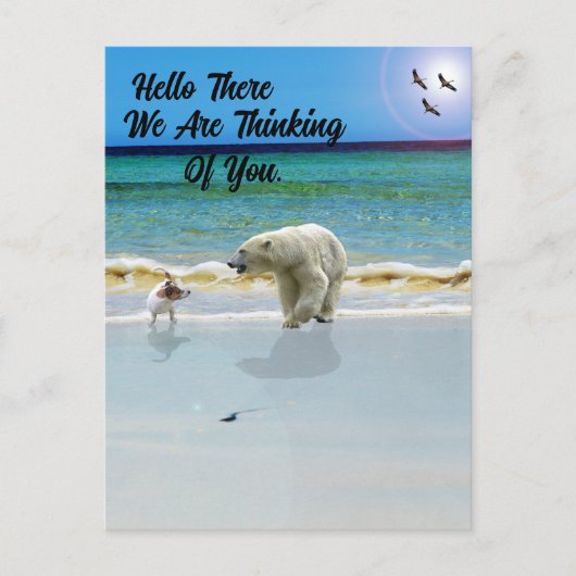 Polar Beer ontmoet Jack Russell, Hallo Briefkaart (Voorkant)