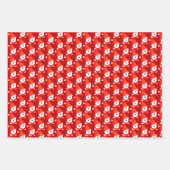 Polar Beer ontworpen Inpakpapier Vel (Voorkant 3)